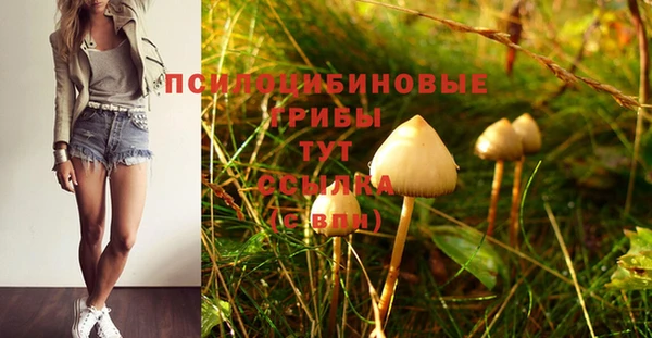 дурь Абинск