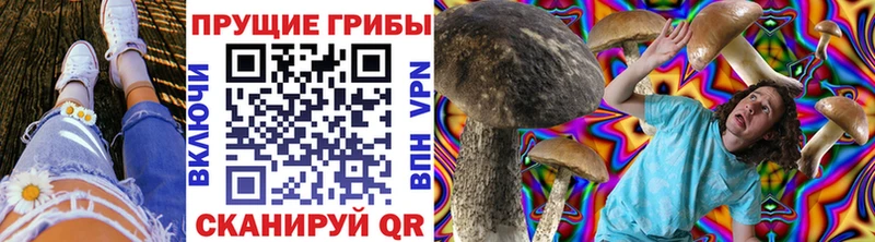 Галлюциногенные грибы GOLDEN TEACHER  OMG зеркало  Тетюши 